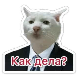 Sticker Business Cat - 6