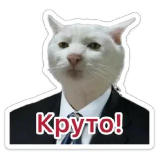 Sticker Business Cat - 3