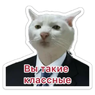 Sticker Business Cat - 5