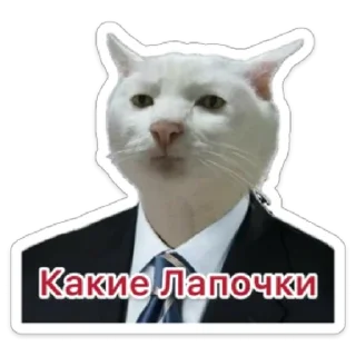 Sticker Business Cat - 2