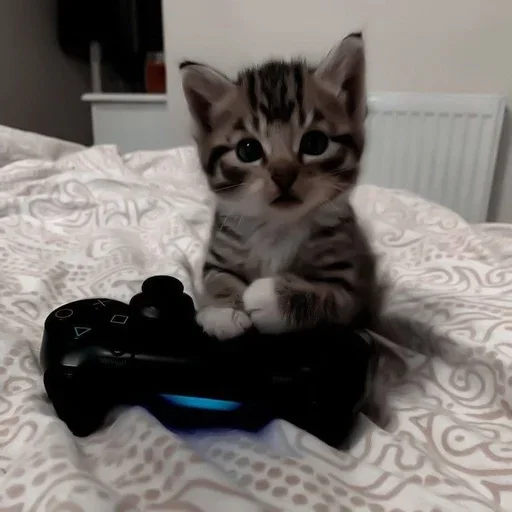 Стикер CatSbor - 1