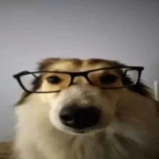 Стикер Cat_sm - 6