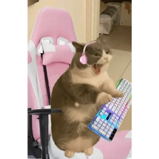 Стикер Cats - 10