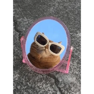 Стикер Cats - 4