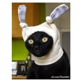 Стикер Cats - 2