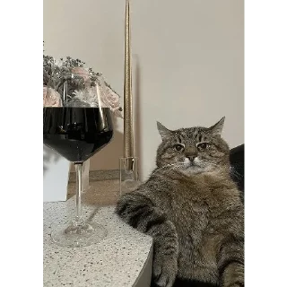 Стикер Cats - 0