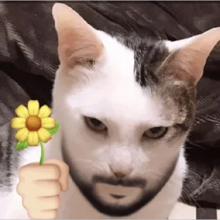 Стикер Cats - 11