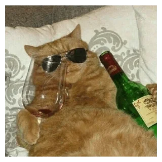 Стикер Cats - 9