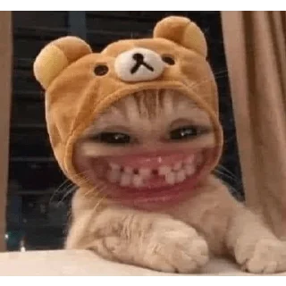 Стикер Cats - 1