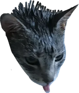 Sticker Альберт - 10