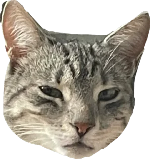 Sticker Альберт - 11