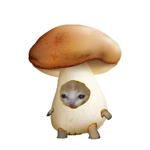 Sticker Котики предметы (@i_Love_Akame) - 5