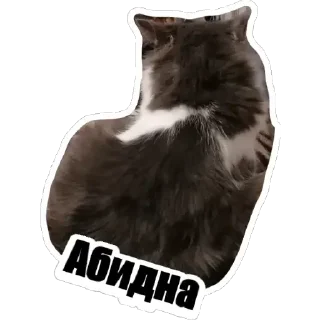 Sticker KotSёма - 5