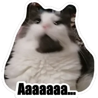 Sticker KotSёма - 1