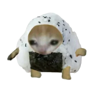 Стикер Типо коты еда (@sofa_gachaUkraine) - 5