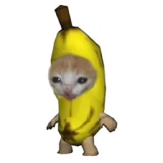 Стикер Типо коты еда (@sofa_gachaUkraine) - 7