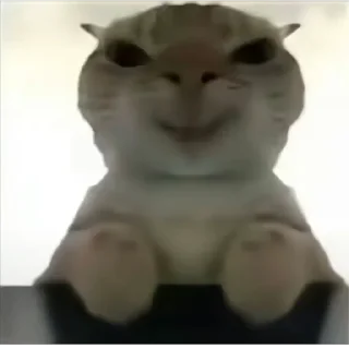 Стикер Cat meme - 9