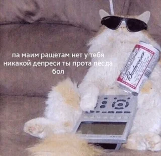 Sticker Кітики - 1