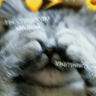 Sticker Кітики - 8