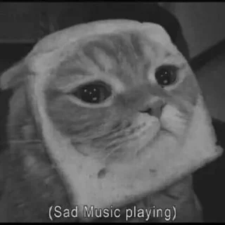 Sticker Кітики - 6