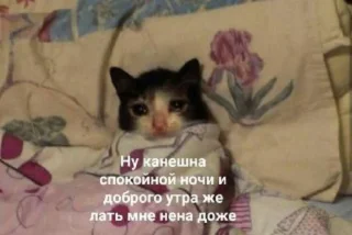 Sticker Кітики - 4