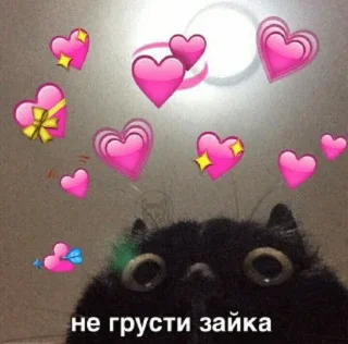 Sticker Кітики - 7