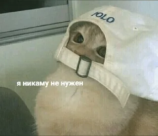 Sticker Кітики - 0