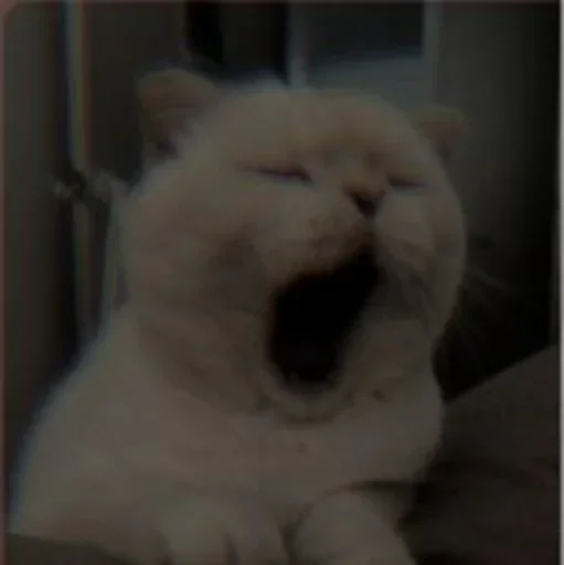 Sticker Cαт @SwanPack - 11