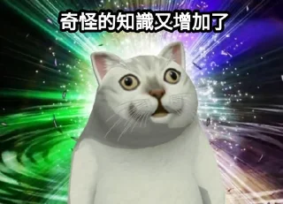 Стикер Cat Daily - 4