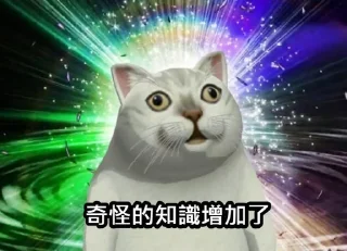 Стикер Cat Daily - 8