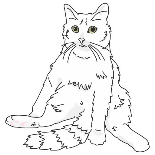 Sticker Catismus - 1
