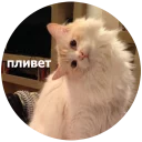 Кусь - животное