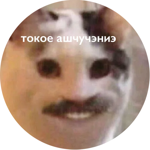 СМС лоб скриншот