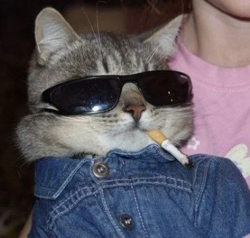 Стикер Cat’ cats - 8