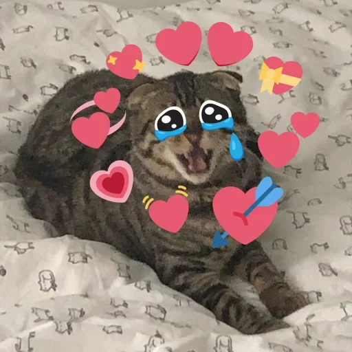 Стикер Cat’ cats - 5