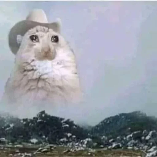 Стикер Cat’ cats - 2