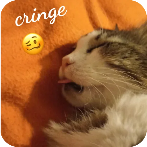 Стикер Cats8473 - 1