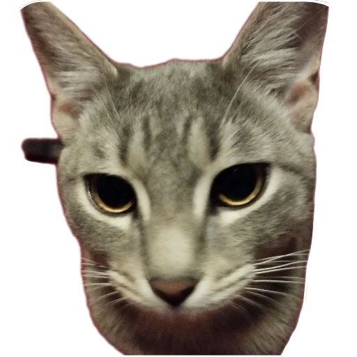 Стикер Cats8473 - 1