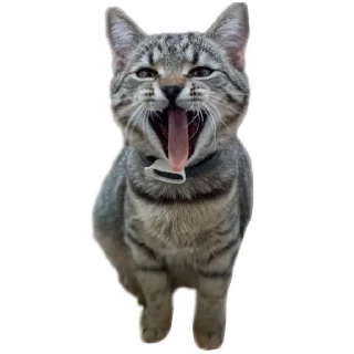 Sticker Cats🐱 - 5