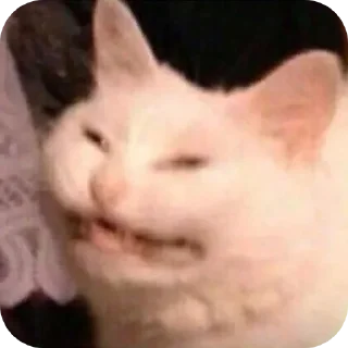 Sticker Cats🐱 - 7