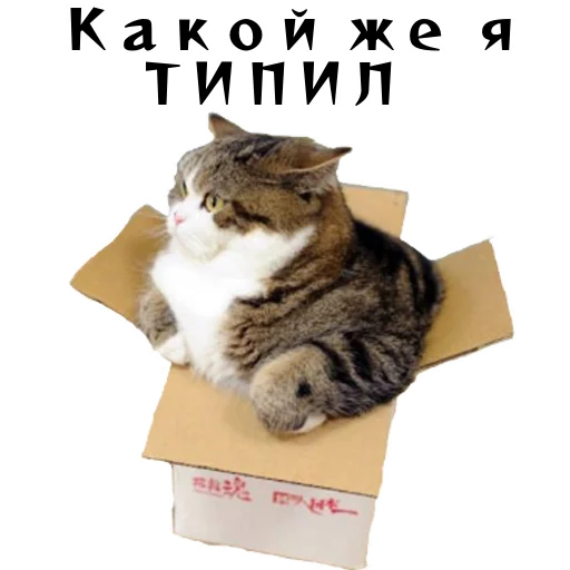 Колкие фразы - 
