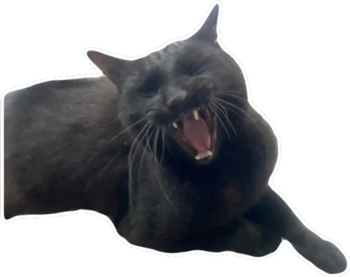 Тусовка у Илоны - 