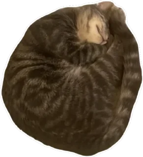 Стикер Тусовка у Илоны - 7