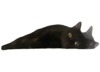 Стикер Тусовка у Илоны - 6