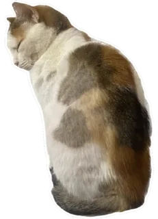 Стикер Тусовка у Илоны - 10