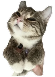 Стикер Тусовка у Илоны - 1