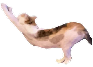 Стикер Тусовка у Илоны - 2