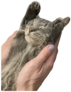 Стикер Тусовка у Илоны - 0