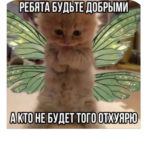 Sticker CatsSilkfinik_by_MoiStikiBot - 1