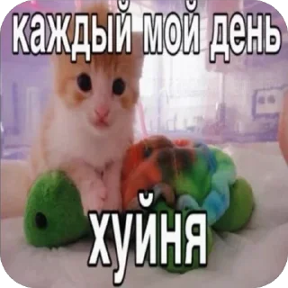 Стикер ШКИПЕР СХАВАЛ ВСЕ ШПРОТЫ - 0